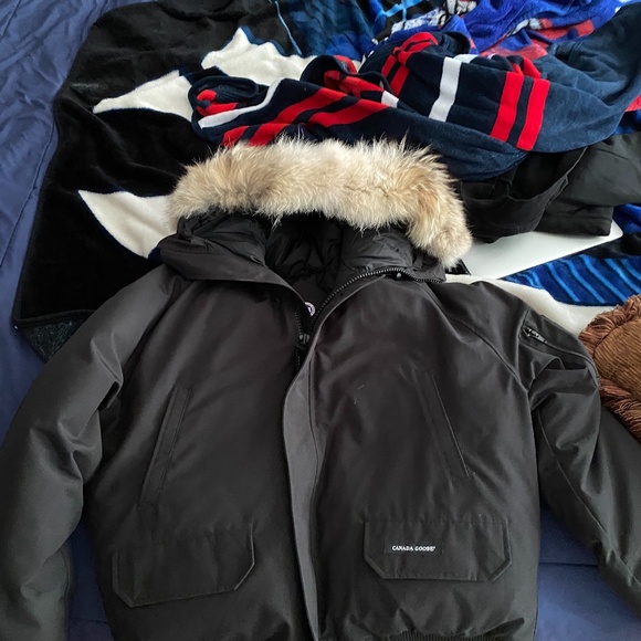 Canada goose
